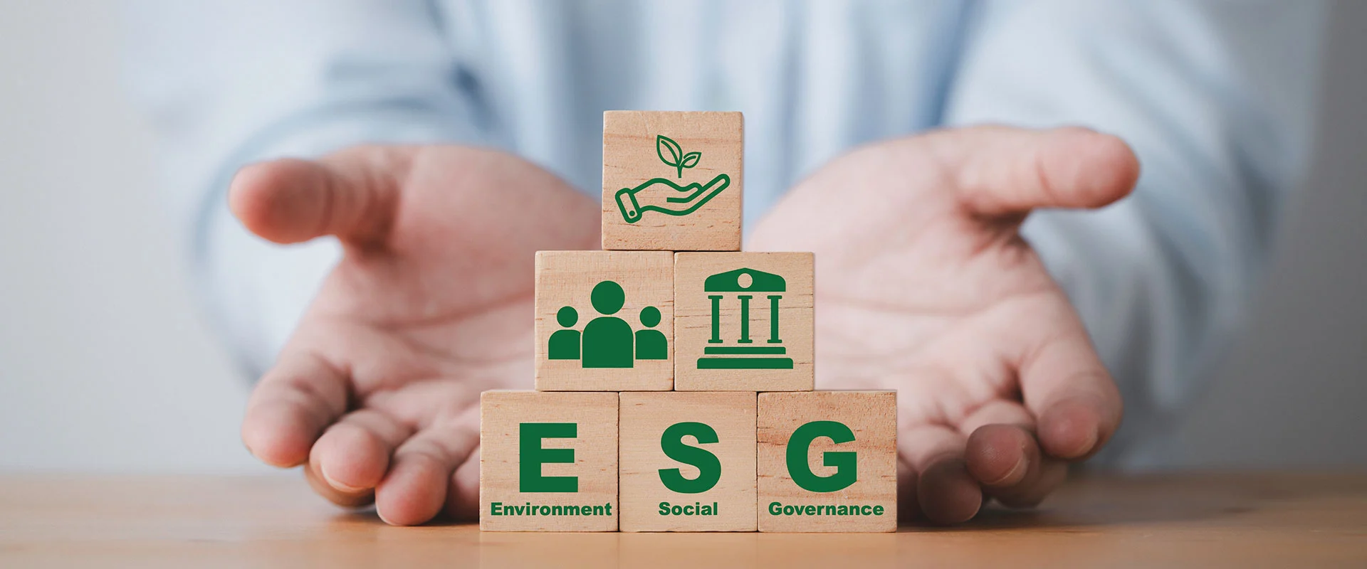 Liderazgo Empresarial